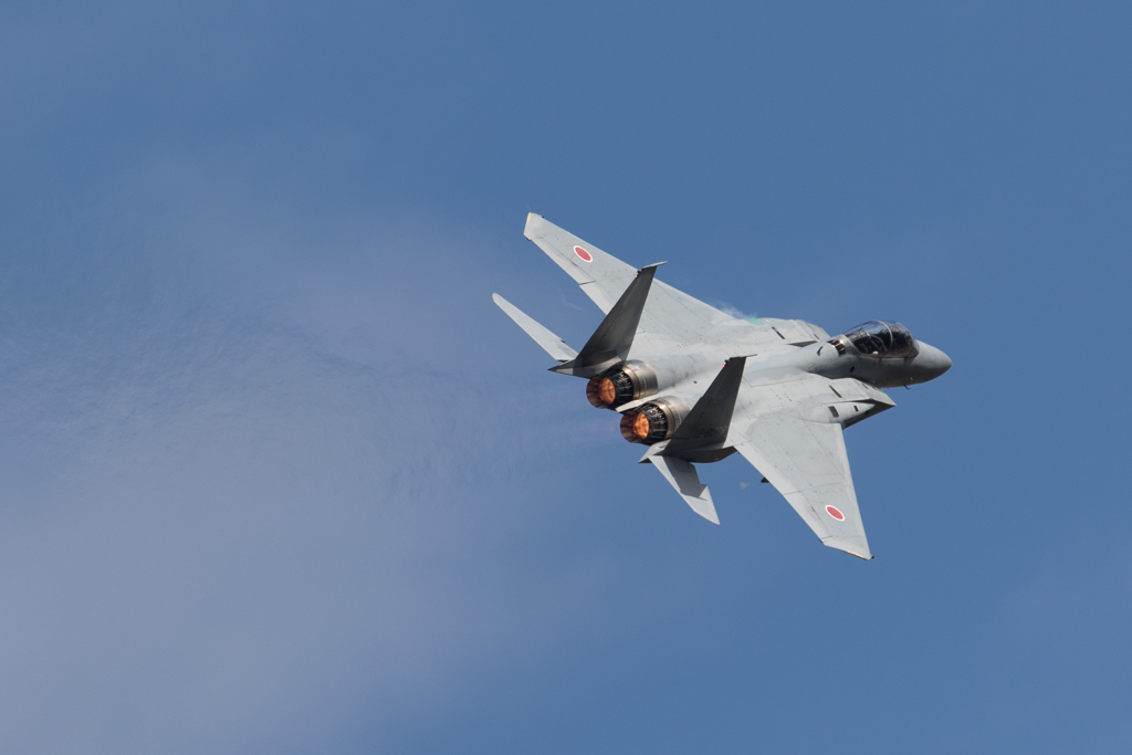 F-15　機動飛行①　ー岐阜基地航空祭　2017ー