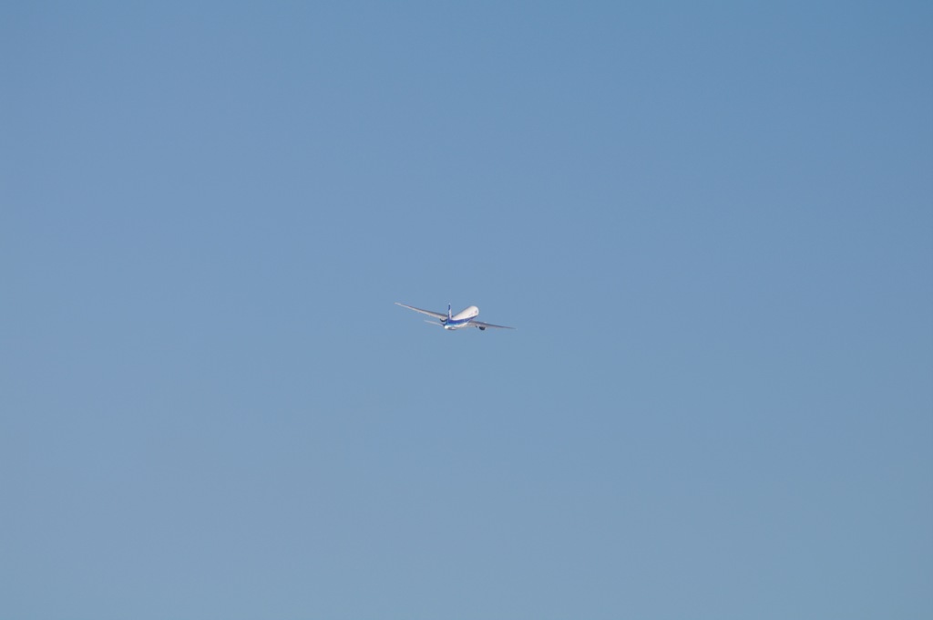 IMGP0369