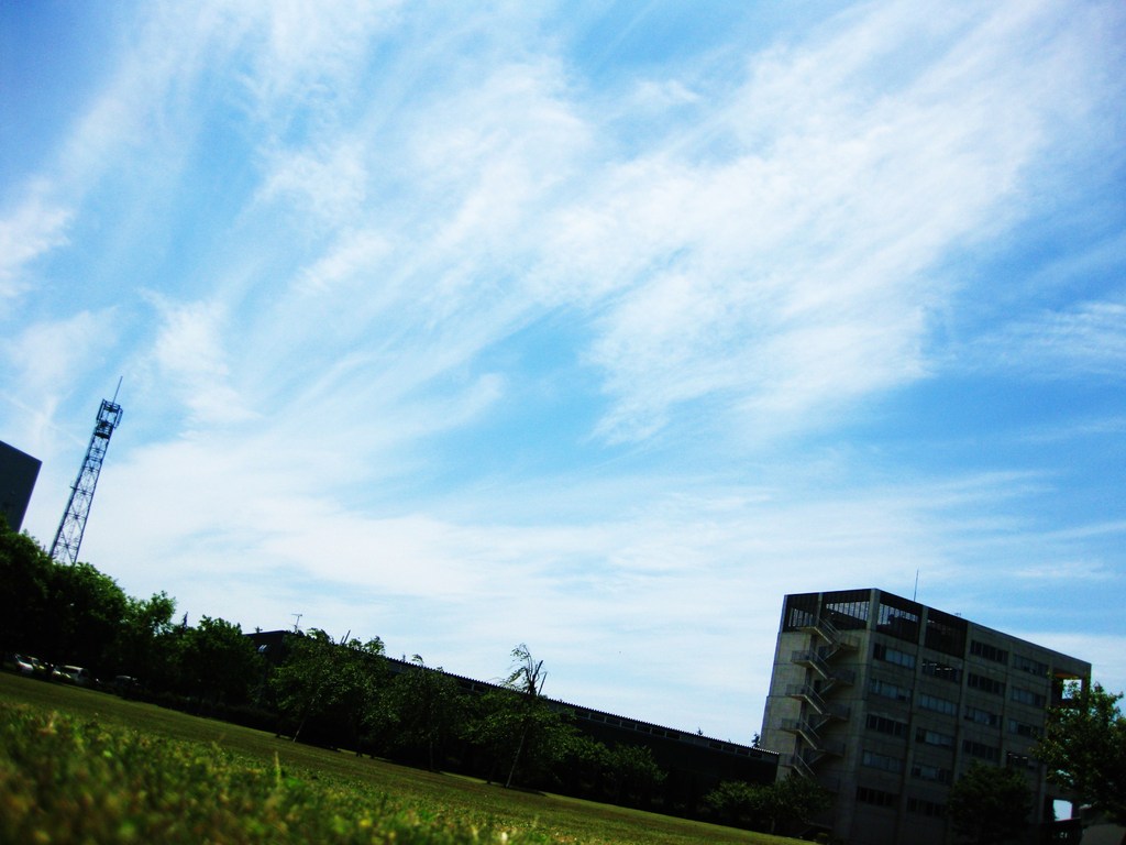 蒼と緑