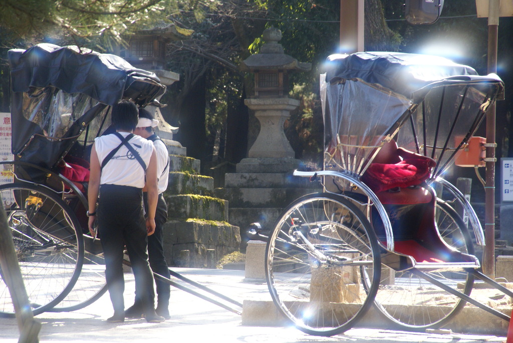 奈良公園