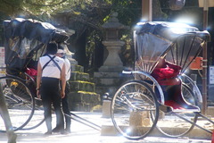 奈良公園