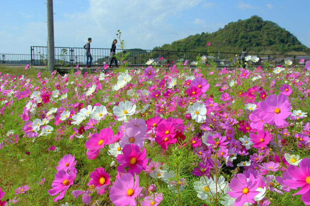 しばし寄り道