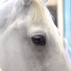 ん？何か・・？