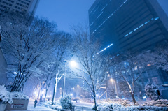 新宿雪景色