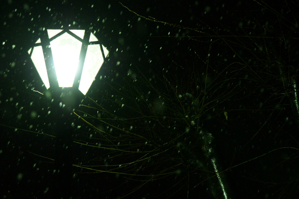 Lighting Snow