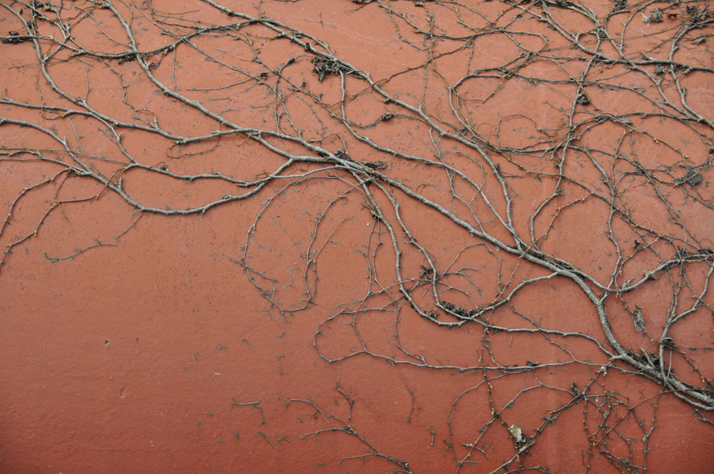 うじゃうじゃ・・・？