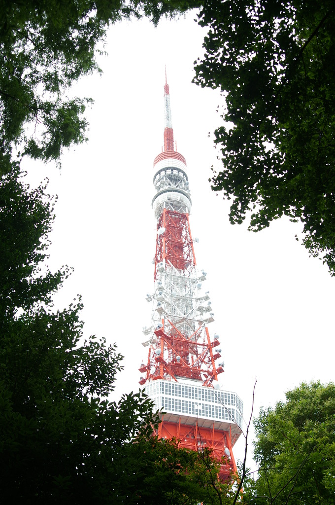 森の中から東京タワー