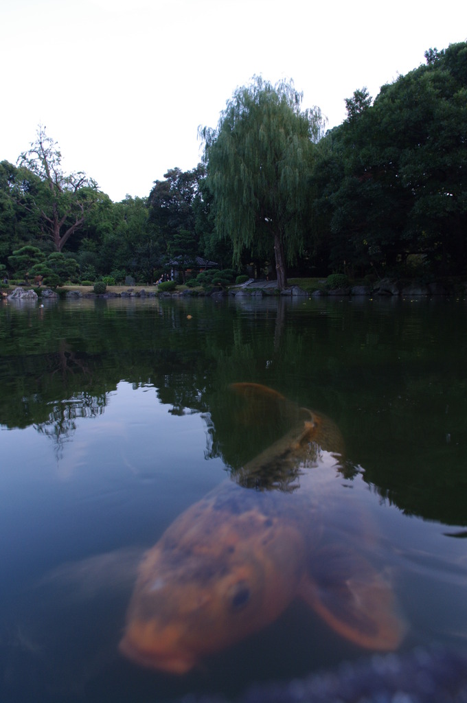 清澄公園