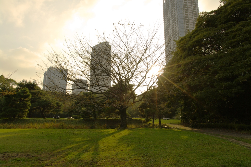 浜離宮恩賜公園
