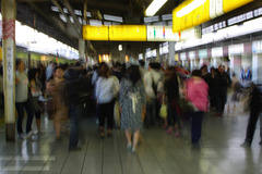 IMGP6015
