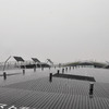 RAINY DAY