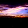 VIVID