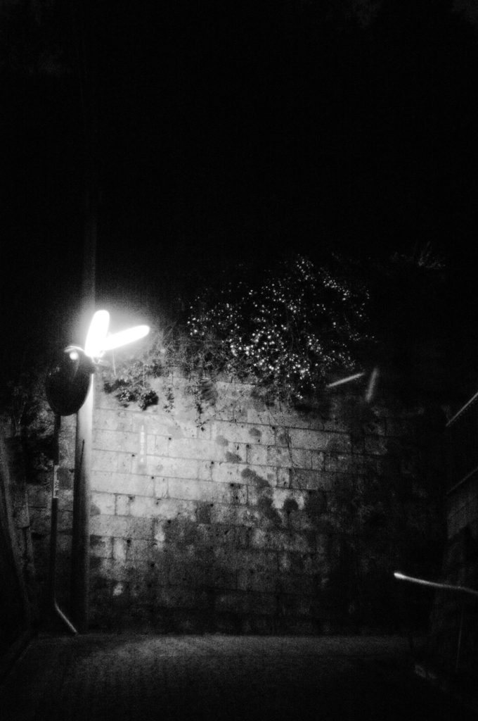 Light Night