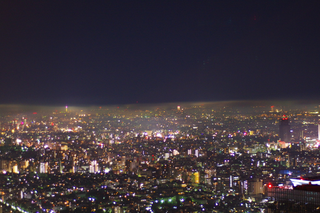 TOKYO HORIZON