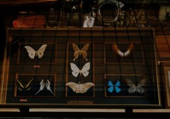 collection