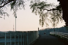 自転車で走り抜けるあなたは