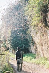 ひかりの小路