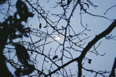with Moon
