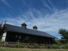 P8091386