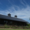 P8091386