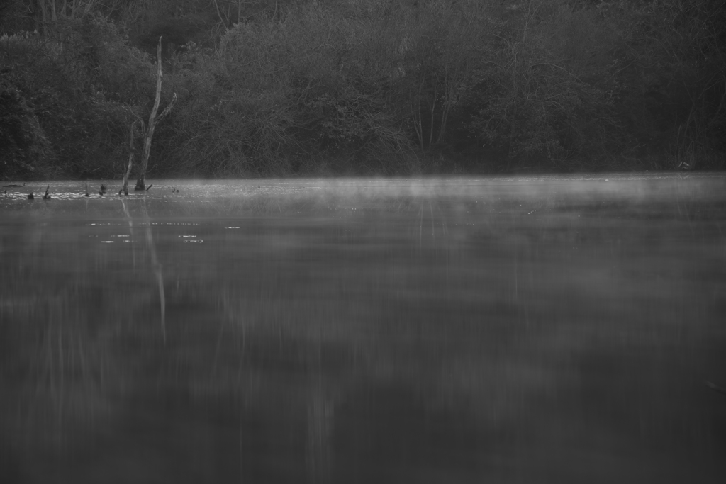 Colorless