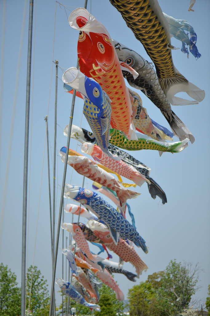 魚群