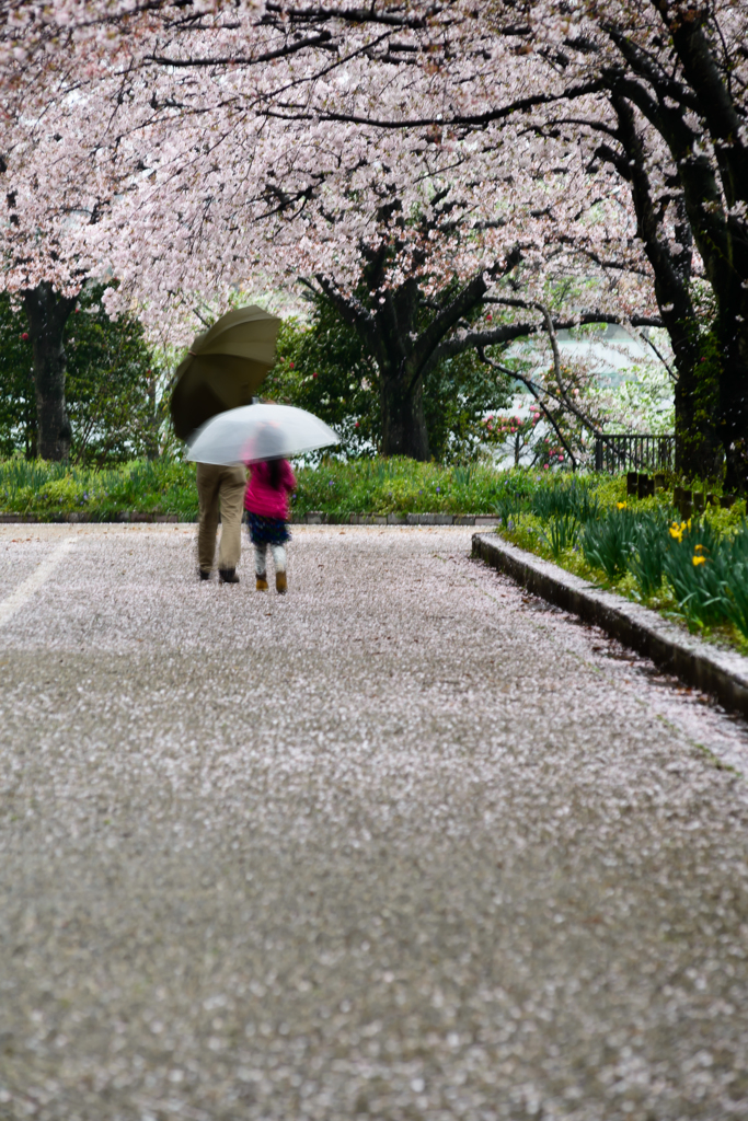 雨でも楽し