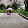 雨でも楽し