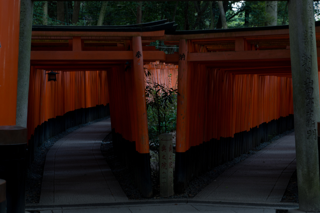 未来への道