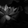 存在