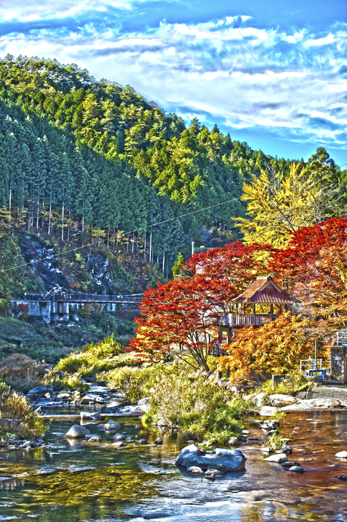 大井平