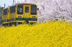 いすみ鉄道