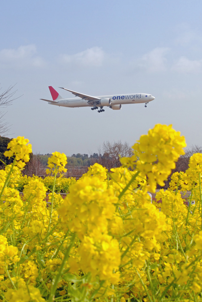 oneworld