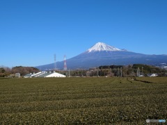 20240109 富士山　スマホ撮影