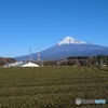 20240109 富士山　スマホ撮影