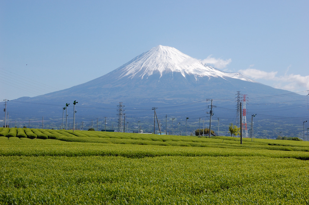 フジヤマ