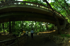 アーチをくぐると・・・