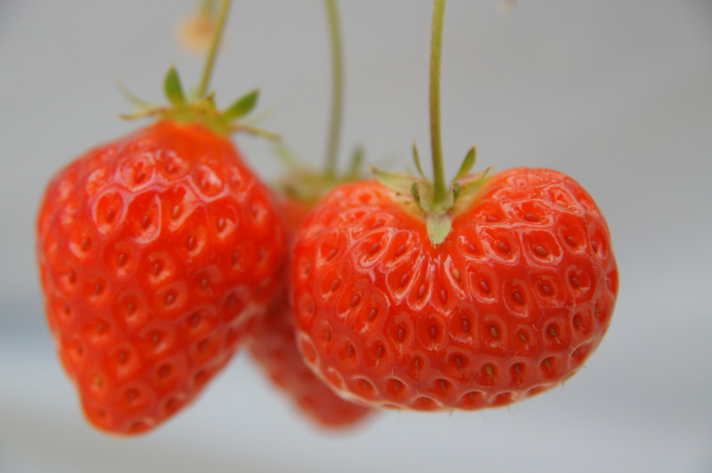 strawberry heart.