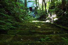 The green stairs