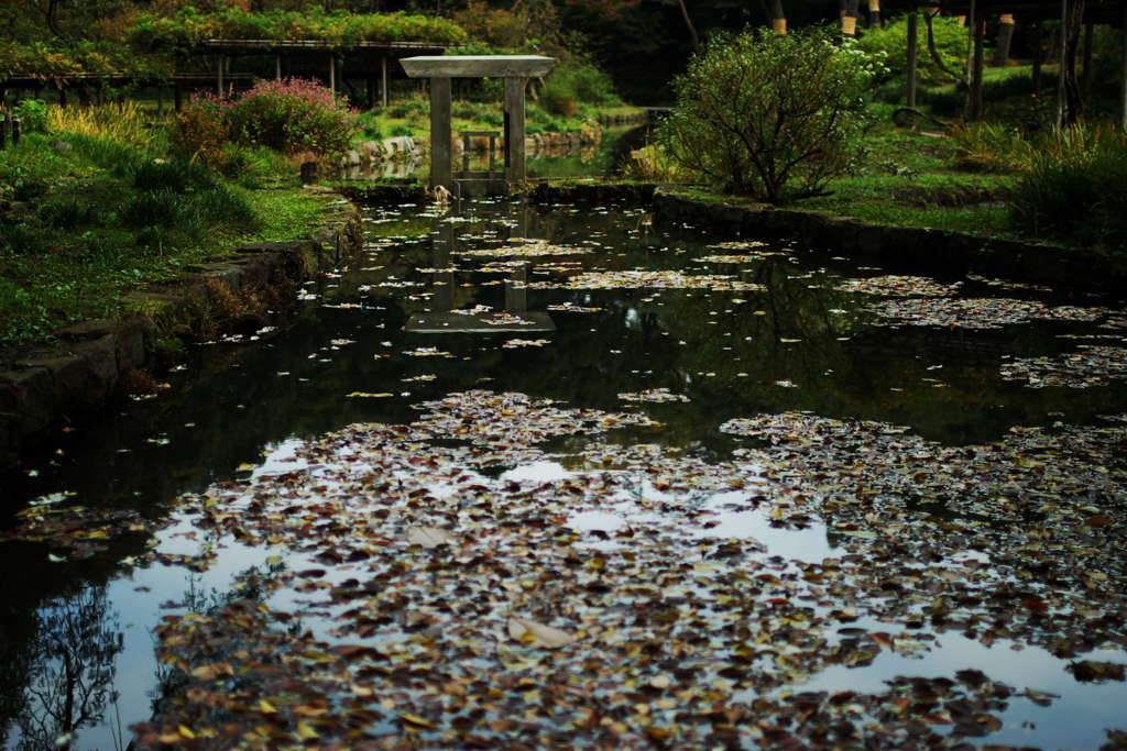 小さな水門