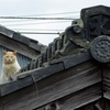 何かご用ですか？？