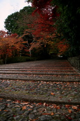 粟生光明寺