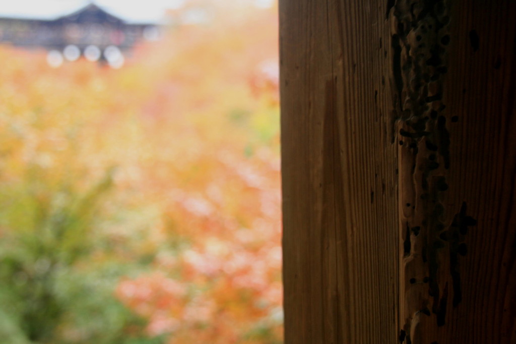 東福寺・通天橋を望む