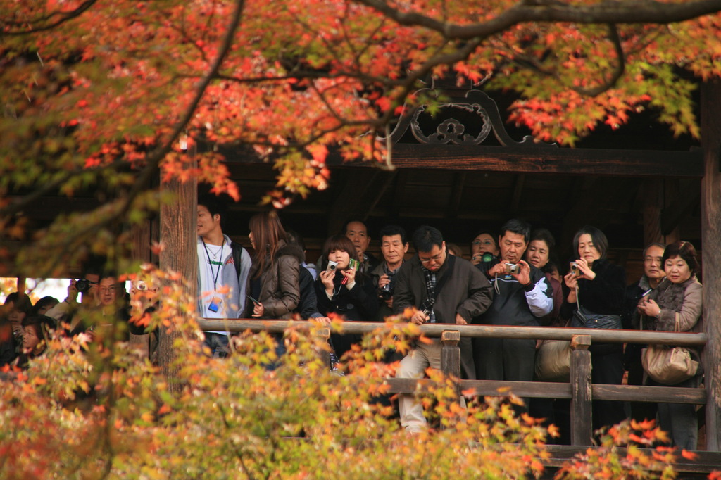 東福寺・通天橋のカメラ軍団＾＾