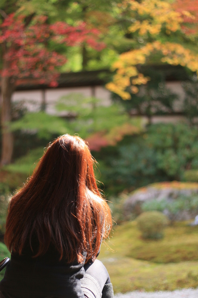 泉涌寺　庭園