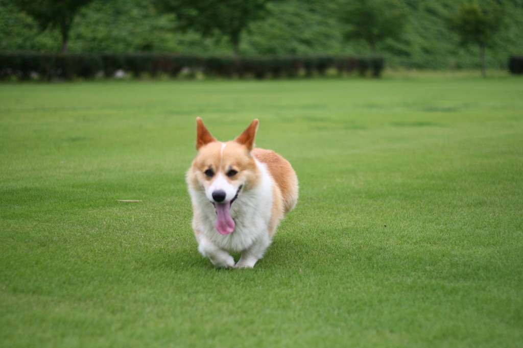 あ～ちゅかれた～。。。。