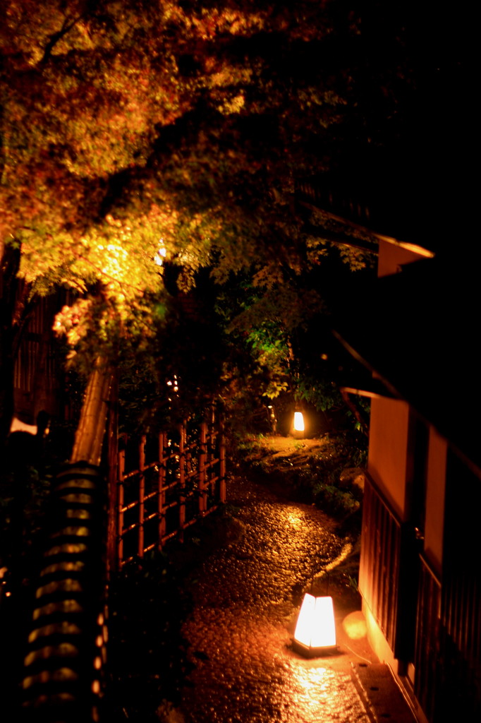 ～ねねの道へ