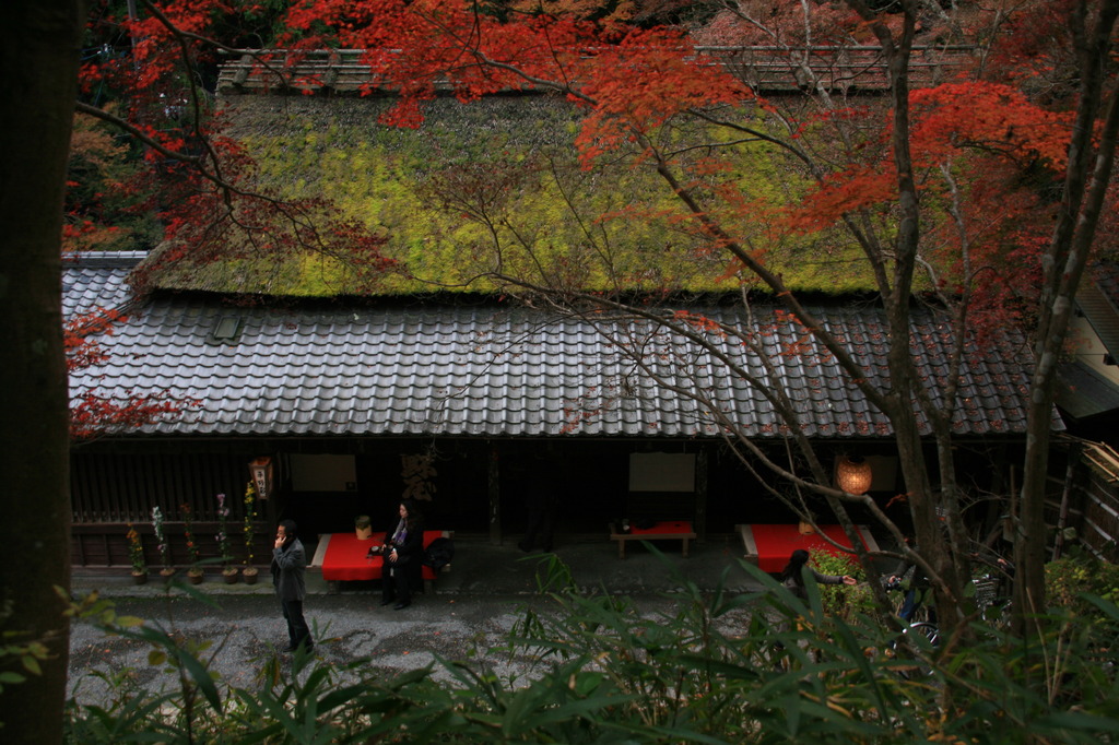 平野屋