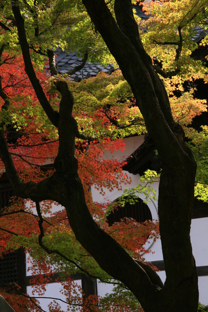 東福寺