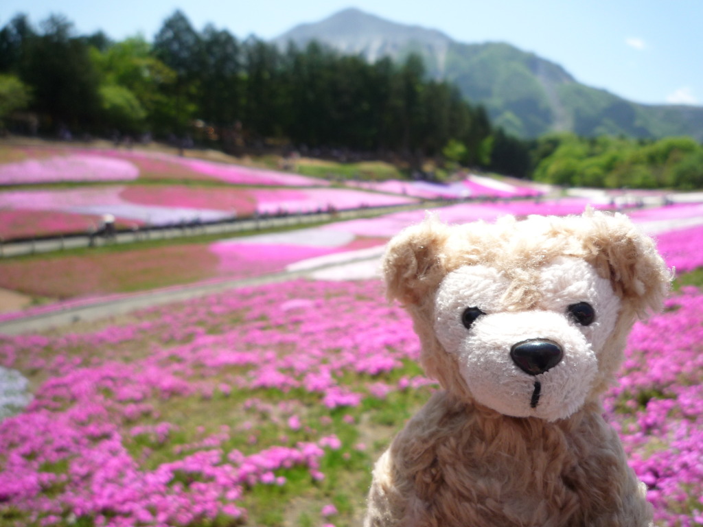 ダッフィー羊山公園に行く。(photo by  J.J.の妻)